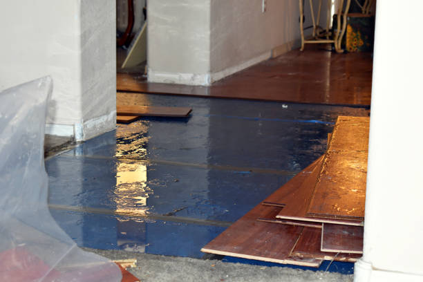 Professional Basement Flood Cleanup technician working in Struthers, OH